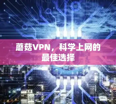 蘑菇VPN,科学上网的最佳选择 蘑菇VPN,科学上网的最佳选择