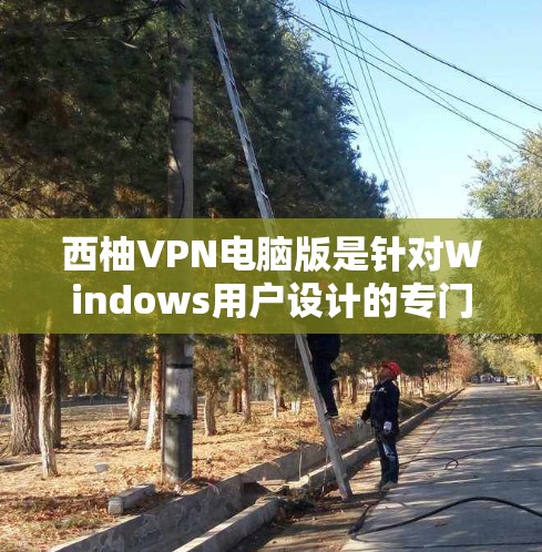 西柚VPN电脑版是针对Windows用户设计的专门的<strong>VPN软件</strong>，旨在为用户提供强大的网络访问体验。以下是对该软件的详细介绍