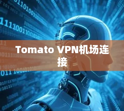 Tomato VPN机场连接 Tomato VPN机场连接