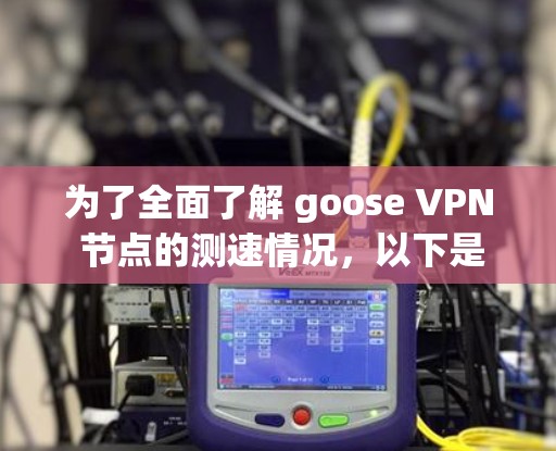 为了全面了解 goose VPN 节点的测速情况，以下是详细的步骤和分析