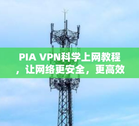 PIA VPN科学上网教程，让网络更安全，更高效