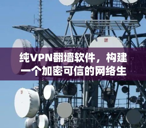 纯VPN翻墙软件,构建一个加密可信的网络生态系统 纯VPN翻墙软件,构建一个加密可信的网络生态系统