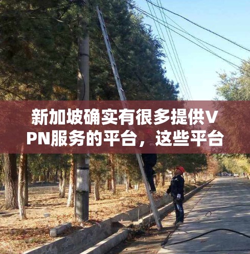 新加坡确实有很多提供VPN服务的平台，这些平台通常提供免费、流畅的网络连接。以下是一些推荐的VPN服务