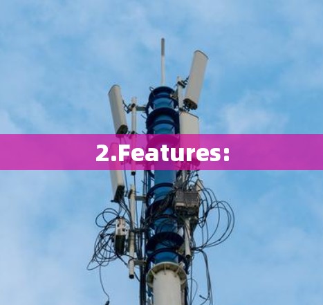 2.Features: